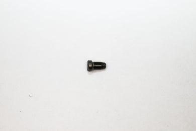 Ralph Lauren RL 6183 Screws | Replacement Screws For Ralph Lauren RL 6183