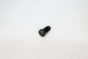 Miu Miu 13NS Screws | Replacement Screws For MU 13NS