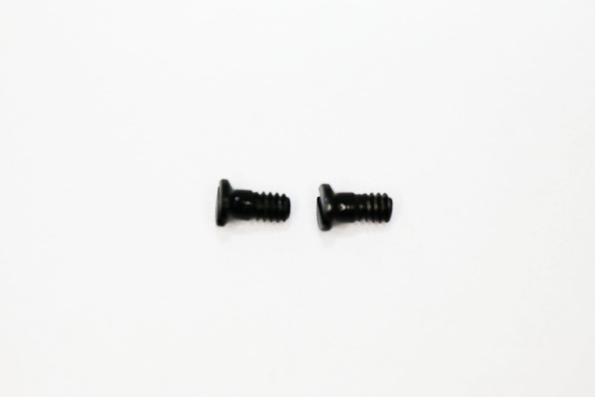 Erika Ray Ban Screws Replacement Erika Rayban Screws For RB 4171