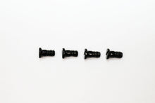 Load image into Gallery viewer, Erika Ray Ban Screws| Replacement Erika Rayban Screws For RB 4171