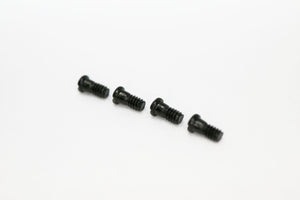 Ray Ban 8319CH Screws | Replacement Screws For RB 8319CH (Lens/Barrel Screw)