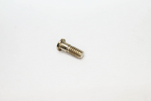 Load image into Gallery viewer, Versace Screws - Replacement Versace Screws