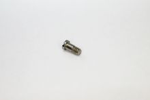 Load image into Gallery viewer, Versace Screws - Replacement Versace Screws