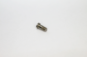 Versace Screws - Replacement Versace Screws